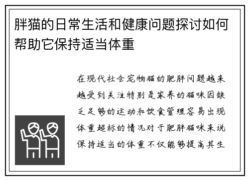 胖猫的日常生活和健康问题探讨如何帮助它保持适当体重
